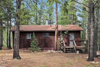 64 Skidoo Rd, Fairplay, CO 80440