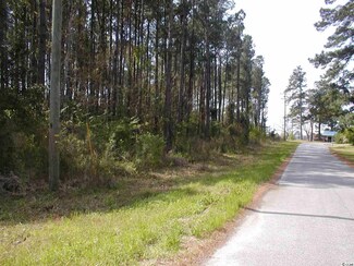0 Hillcrest St Unit 1808483, Andrews, SC 29510