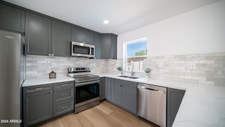 1642 W Capri Ave, Mesa, AZ 85202