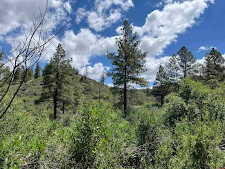 278 Pineridge Trail, Pagosa Springs, CO 81147