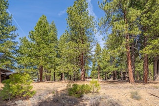 11422 China Camp Rd, Truckee, CA 96161
