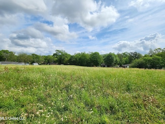 0 Park St, Wiggins, MS 39577