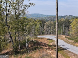 LT 20 Blalock Mountain Rd, Ellijay, GA 30175