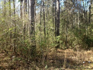 X Busy Corner Rd, Gloster, MS 39638