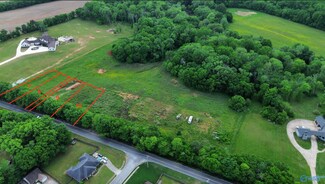 14383 Dupree Worthey Rd, Harvest, AL 35749