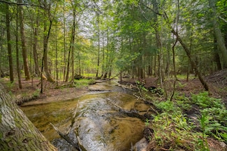 0 Carter Creek Rd, Beulah, MI 49617