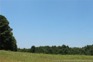 tbd Siler City Glendon Rd, Bear Creek, NC 27207