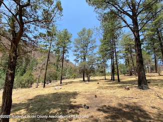 109 & 111 E Riverside Dr, Ruidoso, NM 88345
