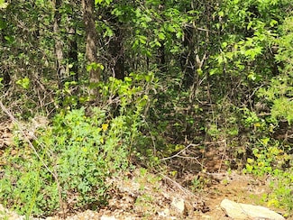 0 Strawberry Valley Rd Unit 25016423, Richwoods Township, AR 72513