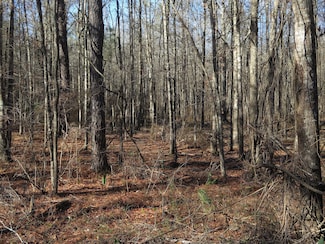 0 County Road 211 Unit LotWP001, Shubuta, MS 39360