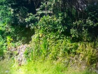 15-243 S Puni Makai Loop, Pahoa, HI 96778