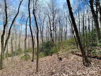 10.02 Acres TBD Rock Garden Rd, Black Mountain, NC 28711