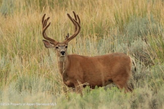 TBD Highway 40, Craig, CO 81625