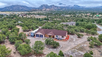 15550 Silver Tip Ct, Buena Vista, CO 81211