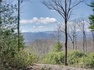 8B Reserve Rd, Pisgah Forest, NC 28768
