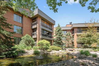 7250 Lewis Ridge Pkwy Unit 301, Edina, MN 55439