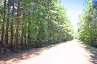 Tract 3 Cr 245 S, Kilgore, TX 75662