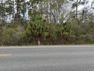 7025 Treiman Blvd, Webster, FL 33597