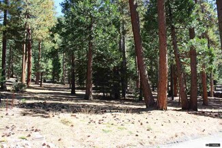 2133 the Back Rd, Glenbrook, NV 89413