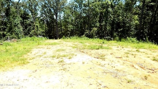 260 Kimes Cove, Sardis, MS 38666