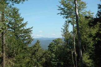 386 Holland Hill Rd, Putney, VT 05346