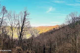 Lots 6,7 Balsam Slopes Rd, Sevierville, TN 37862