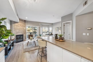 1000 E 1st Ave Unit 205, Denver, CO 80218
