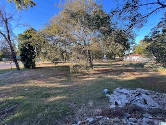 111 2nd Ave S Unit 1, Birmingham, AL 35205