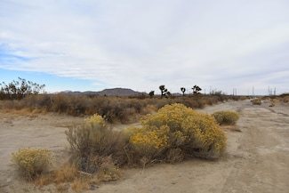 11700 Holiday Ave, Rosamond, CA 93560