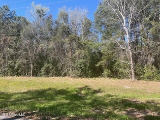 Lot 8 Seacliff Blvd, Ocean Springs, MS 39564