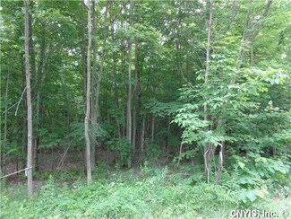 Lot 6 Cemetery Rd, Watson, NY 13367