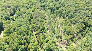 1394 (Parcel D) County Road 6580, Salem, MO 65560