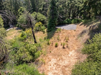 201 Hill House Rd Unit 1, Boulder Creek, CA 95006