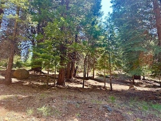 268 Osprey Loop, Chester, CA 96020