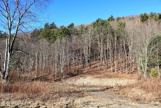 8555 New York 7, Schenevus, NY 12155