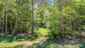 0 Twin Bridge Rd, Deer Lodge, TN 37726