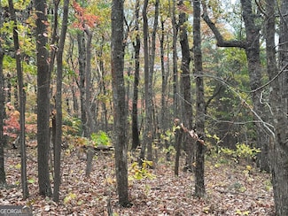 0 Northland Trail Unit 10472985, Ellijay, GA 30540