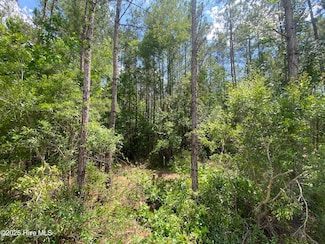 8891 Millers Path NE, Leland, NC 28451