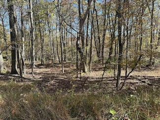 470 Redwood Dr, Terra Alta, WV 26764