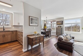 61 Cydney Ln Unit A, Silverthorne, CO 80498