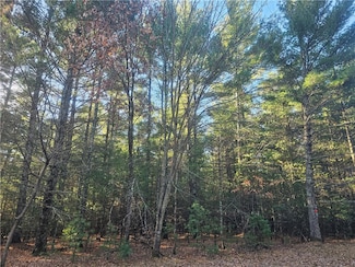 XXX E Harmon Ave, Grantsburg, WI 54840