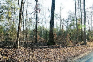 0 Perkins Rd, Hephzibah, GA 30815