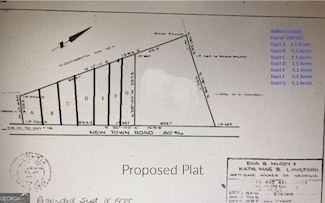 Lot E Newtown Rd, Washington, GA 30673