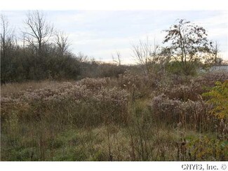 0 Co Route 125 Unit S322709, Lyme, NY 13622
