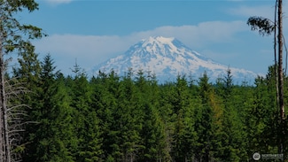 20 E Cascade View, Allyn, WA 98524