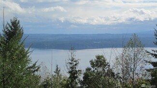 0 Rock Way Unit 871141, Brinnon, WA 98320