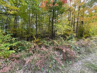 Lot 10 Fairway Dr, Roscommon, MI 48653