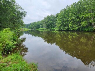 Lot 1 Pennsylvania 87, Forksville, PA 18616