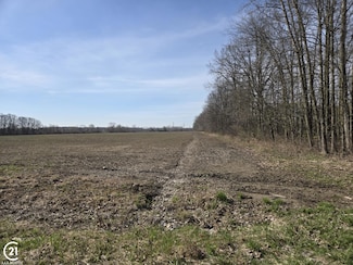 0 Weber (Lot A) Rd Unit 50172576, Richmond Township, MI 48063