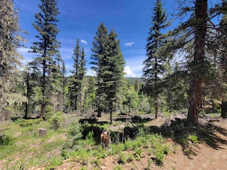 40 Circle Dr, Taos, NM 87571